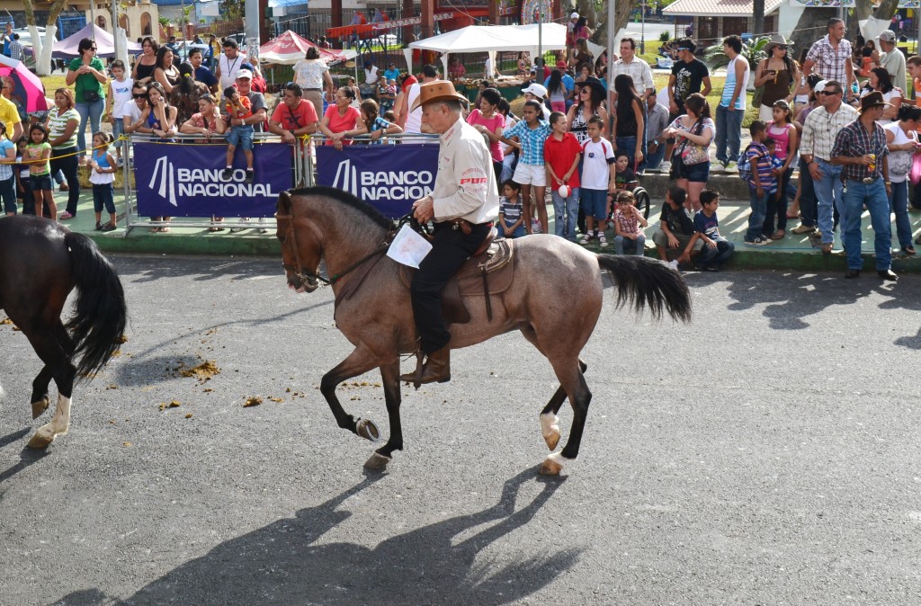 Foto: Tope Sarchi 2013 - Sarchi (Alajuela), Costa Rica