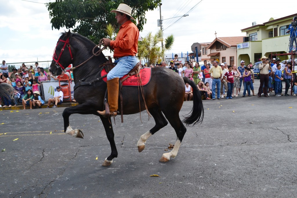Foto: Tope Sarchi 2013 - Sarchi (Alajuela), Costa Rica