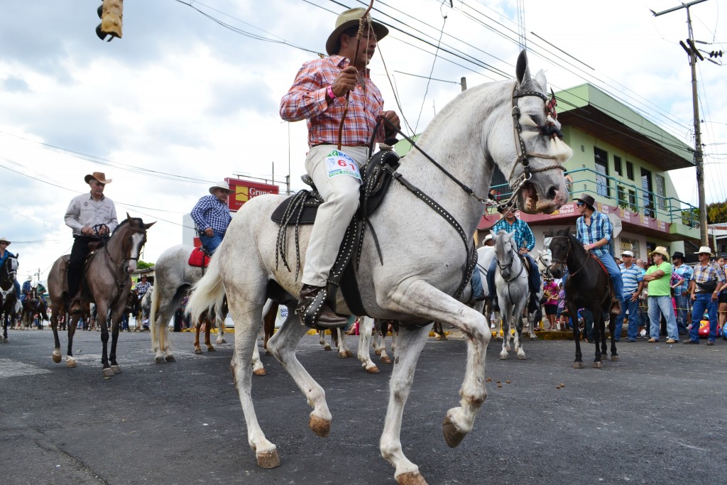 Foto: Tope Sarchi 2013 - Sarchi (Alajuela), Costa Rica