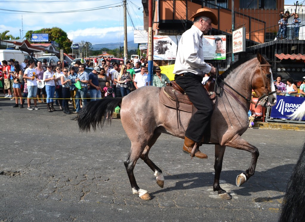 Foto: Tope Sarchi 2013 - Sarchi (Alajuela), Costa Rica