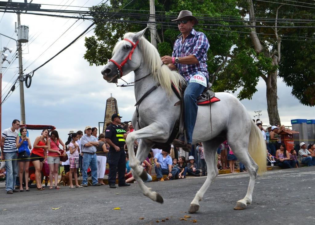 Foto: Tope Sarchi 2013 - Sarchi (Alajuela), Costa Rica