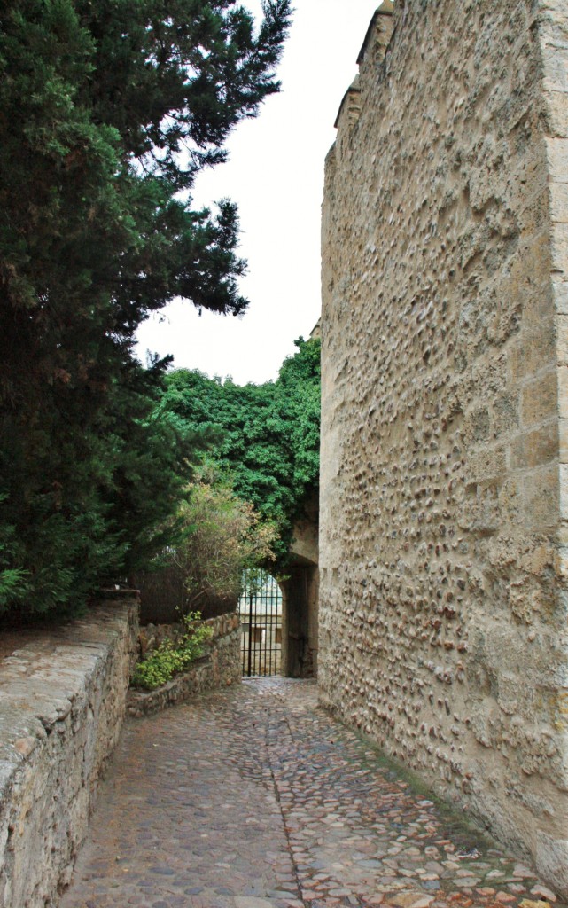 Foto: Castillo de Enrique III de Trastámara - Ciudad Rodrigo (Salamanca), España