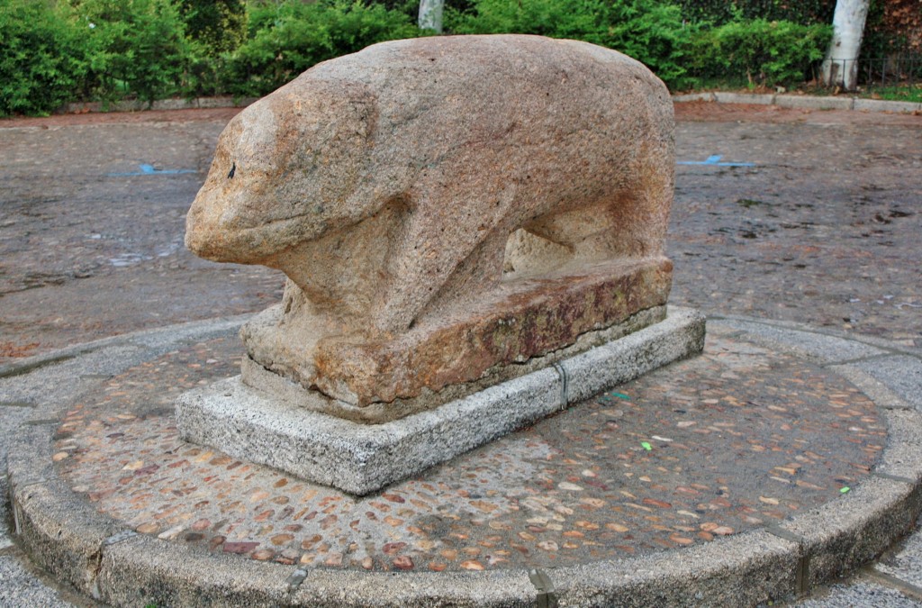 Foto: Verraco - Ciudad Rodrigo (Salamanca), España