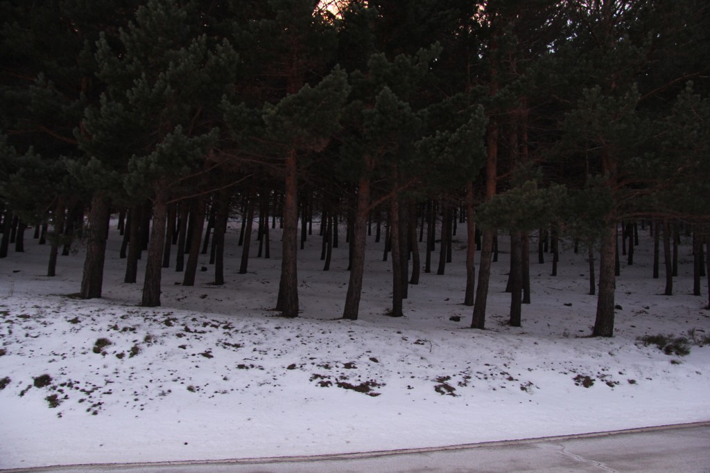 Foto de Laroles (Granada), España