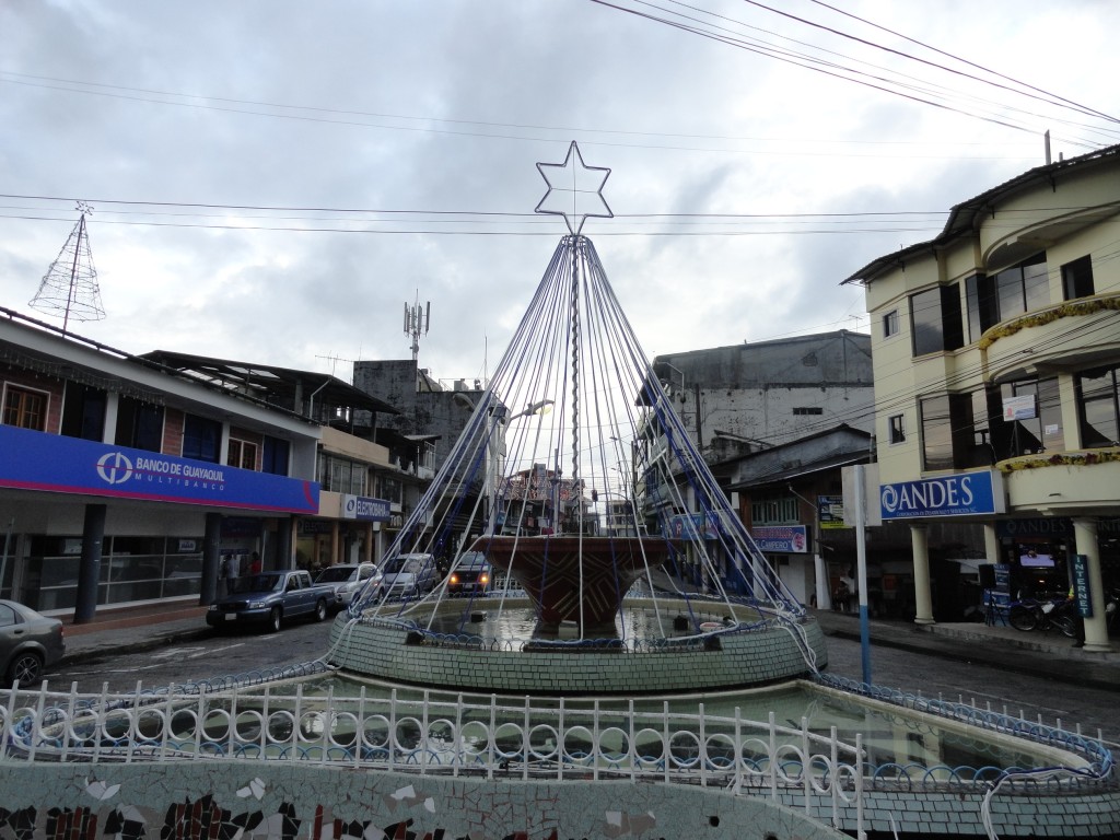 Foto: Arbol - Puyo (Pastaza), Ecuador