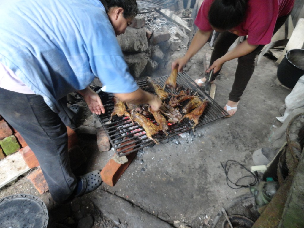 Foto: Asando cuyes - Shell (Pastaza), Ecuador