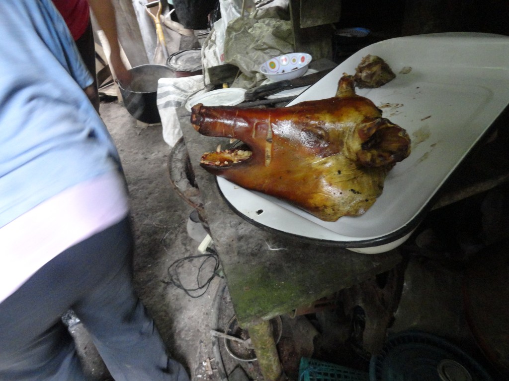 Foto: Cabeza de chancho - Shell (Pastaza), Ecuador
