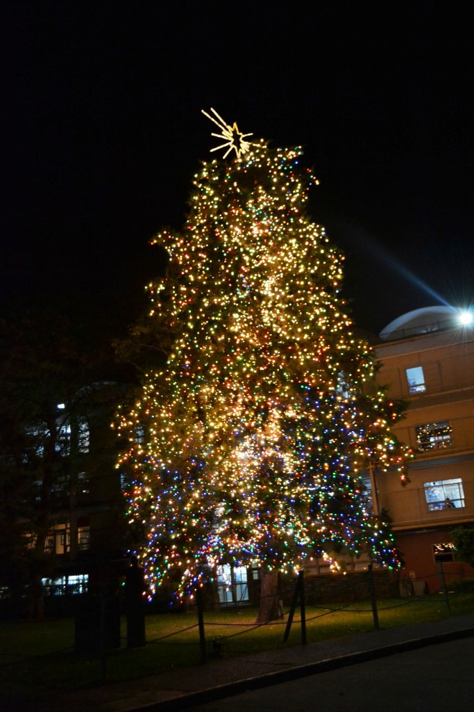 Foto: ARBOL DE NAVIDAD DEL HOSPITAL DE NIÑOS - San Jose (San José), Costa Rica