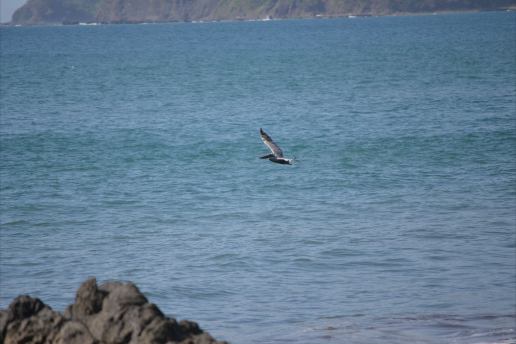 Foto: JACÓ, GARABITO, PUNTARENAS - Garabito (Puntarenas), Costa Rica