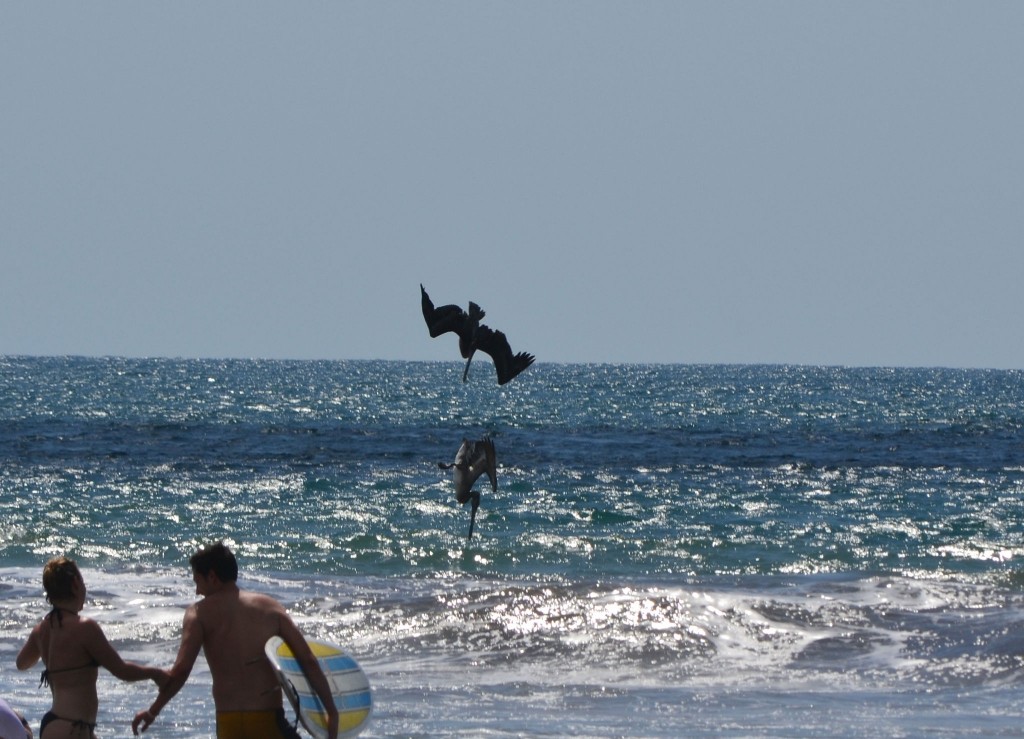 Foto: JACÓ, GARABITO, PUNTARENAS - Garabito (Puntarenas), Costa Rica