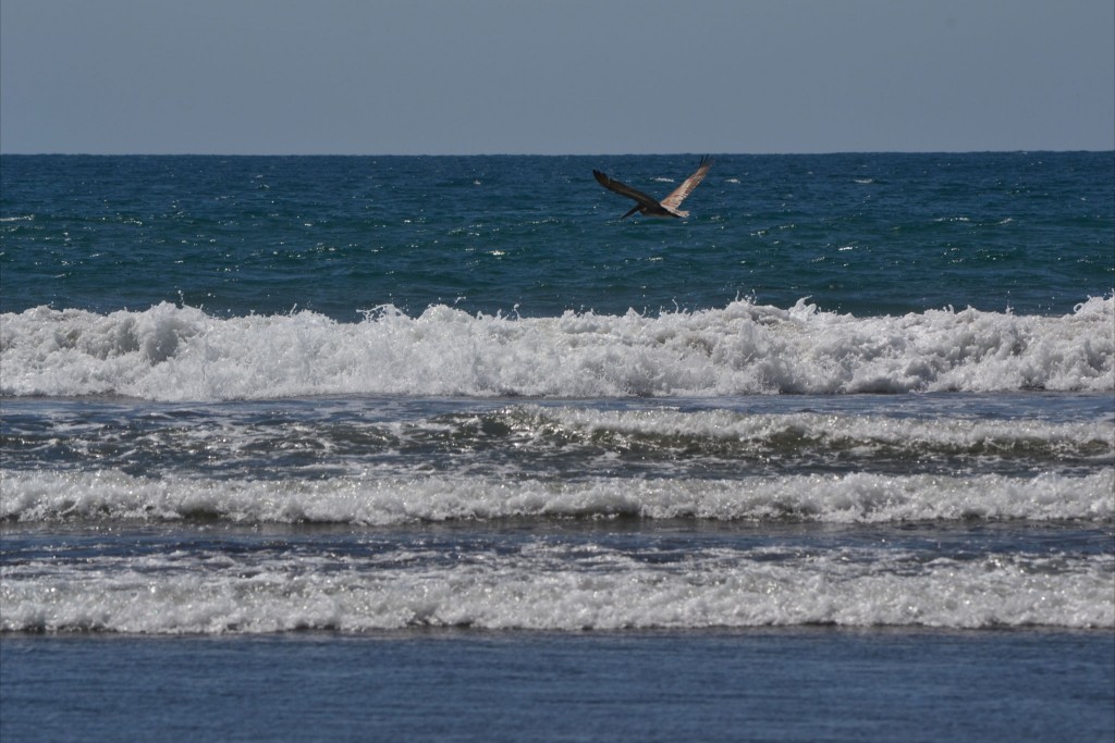 Foto: JACÓ, GARABITO, PUNTARENAS - Garabito (Puntarenas), Costa Rica