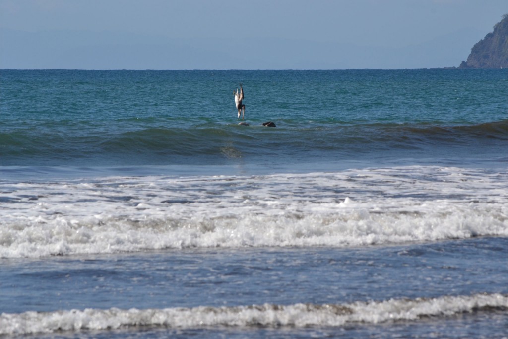 Foto: JACÓ, GARABITO, PUNTARENAS - Garabito (Puntarenas), Costa Rica