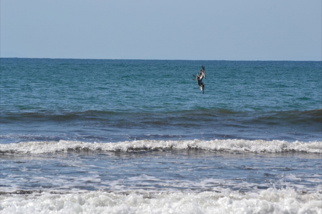 Foto: JACÓ, GARABITO, PUNTARENAS - Garabito (Puntarenas), Costa Rica
