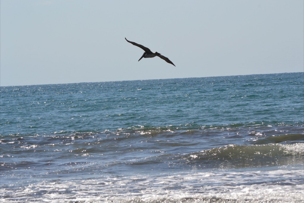 Foto: JACÓ, GARABITO, PUNTARENAS - Garabito (Puntarenas), Costa Rica