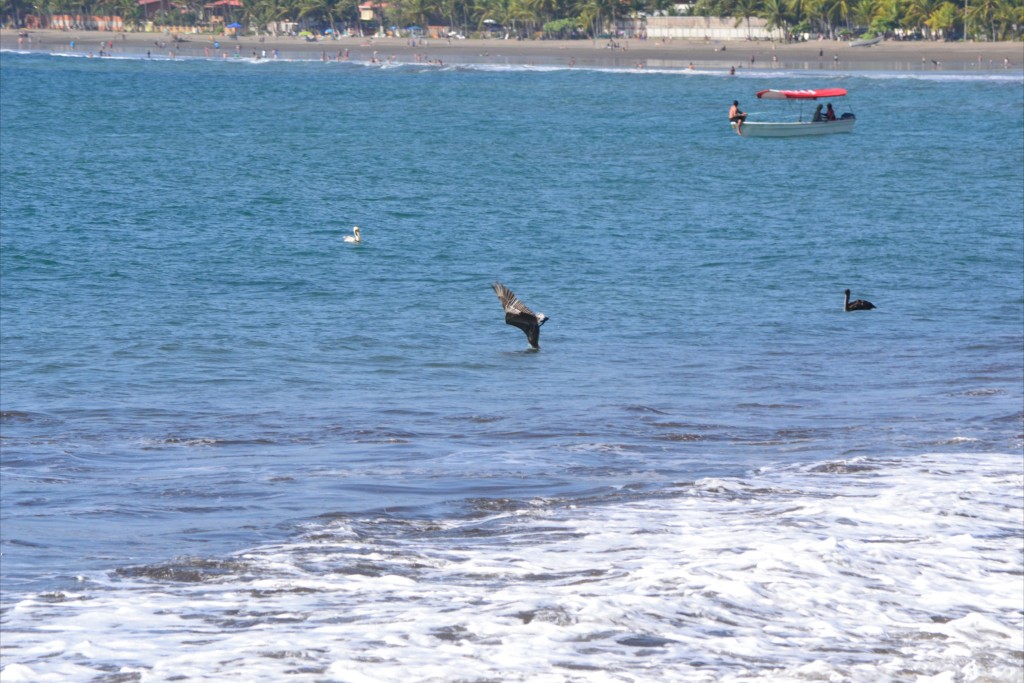 Foto: JACÓ, GARABITO, PUNTARENAS - Garabito (Puntarenas), Costa Rica