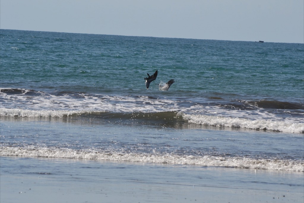 Foto: JACÓ, GARABITO, PUNTARENAS - Garabito (Puntarenas), Costa Rica