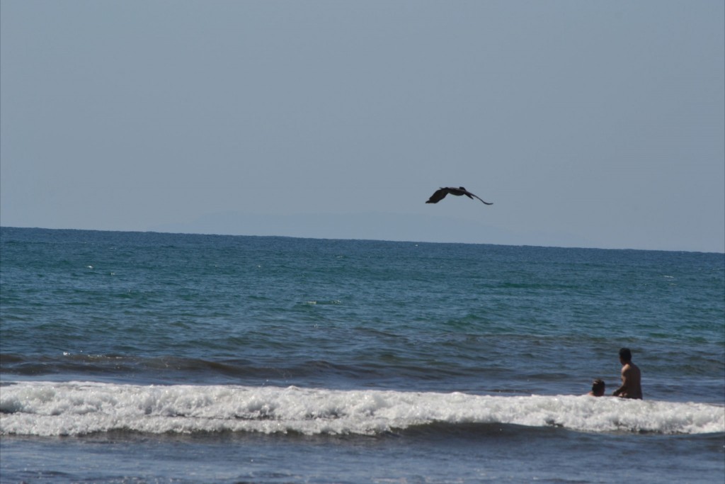 Foto: JACÓ, GARABITO, PUNTARENAS - Garabito (Puntarenas), Costa Rica