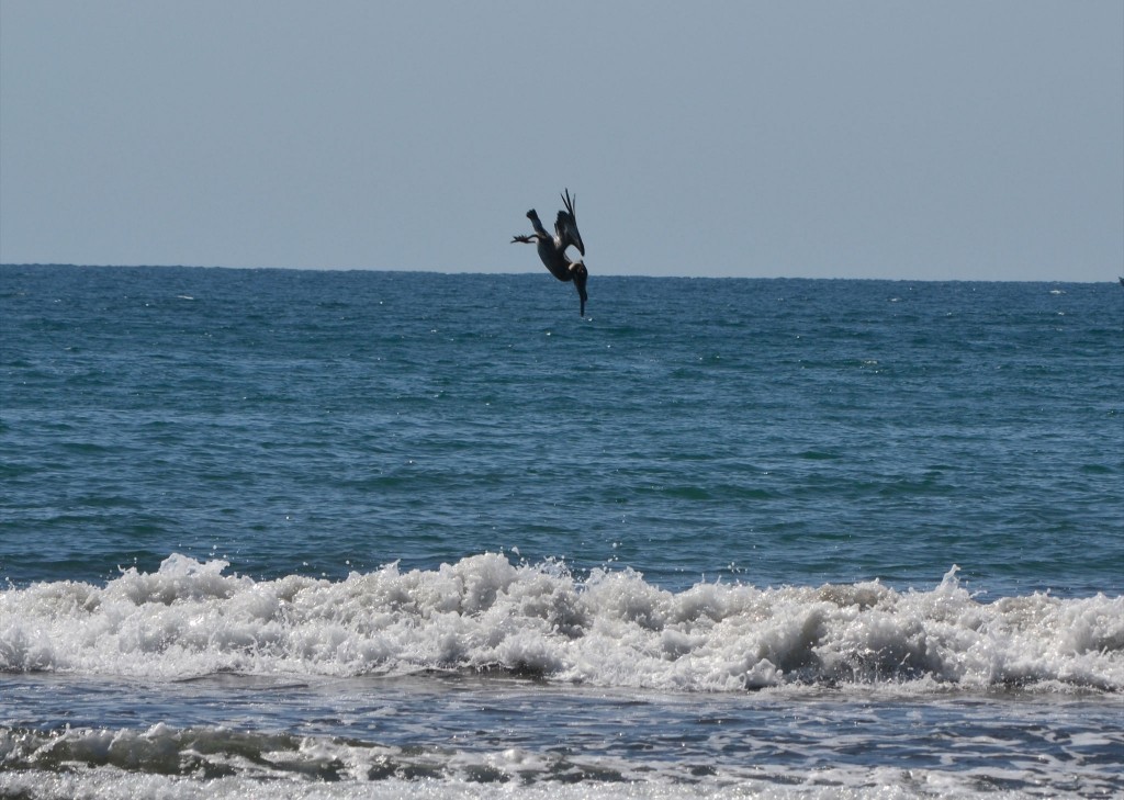 Foto: JACÓ, GARABITO, PUNTARENAS - Garabito (Puntarenas), Costa Rica
