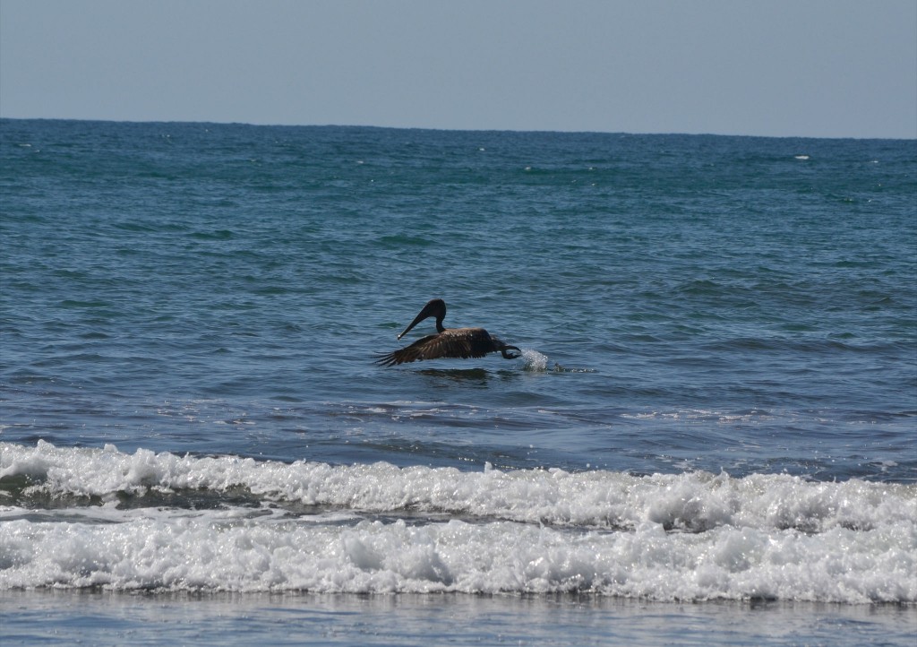 Foto: JACÓ, GARABITO, PUNTARENAS - Garabito (Puntarenas), Costa Rica