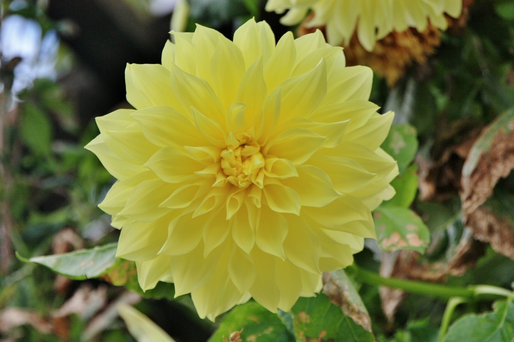 Foto: Un poco de color - La Iruela (Jaén), España