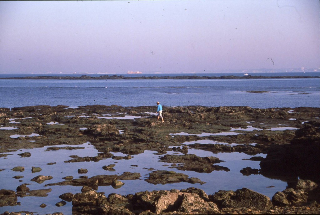 Foto de Cádiz (Andalucía), España