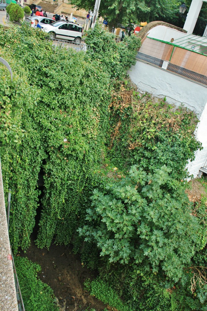 Foto: Rio Cerezuelo - Cazorla (Jaén), España