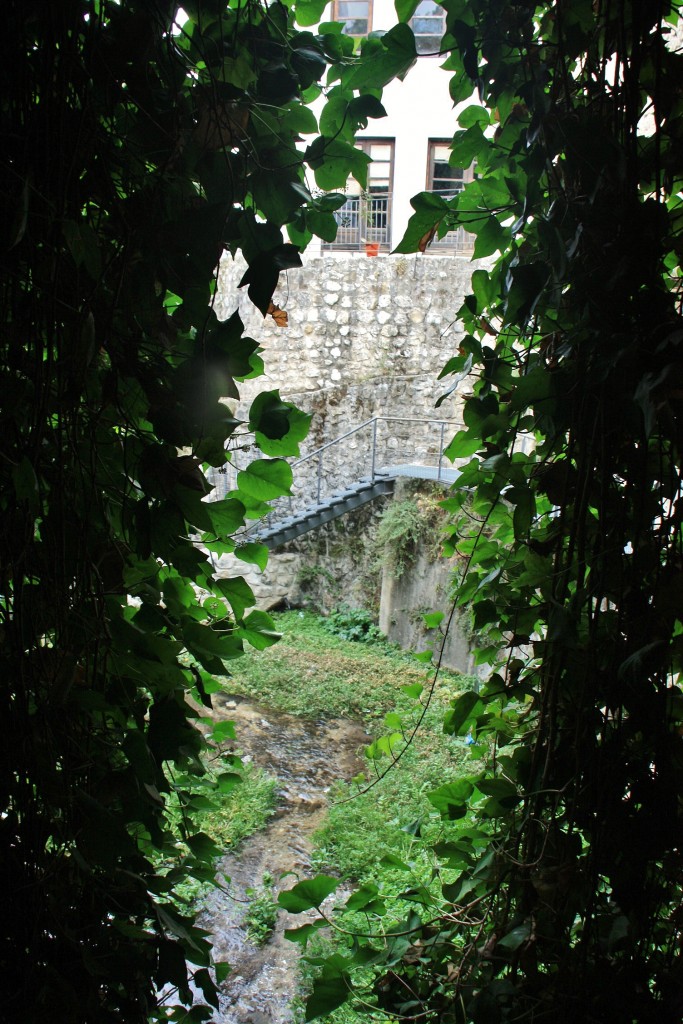 Foto: Rio Cerezuelo - Cazorla (Jaén), España