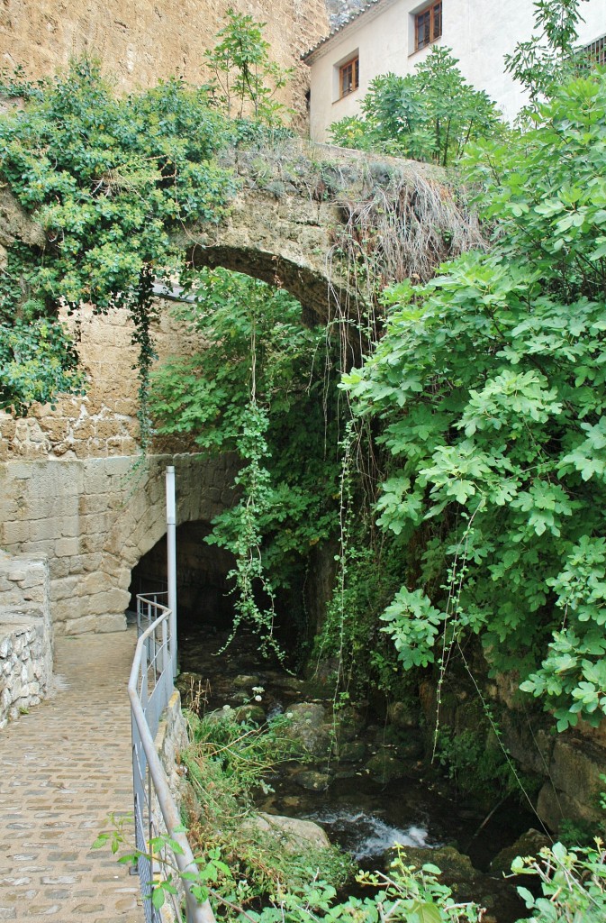 Foto: Rio Cerezuelo - Cazorla (Jaén), España