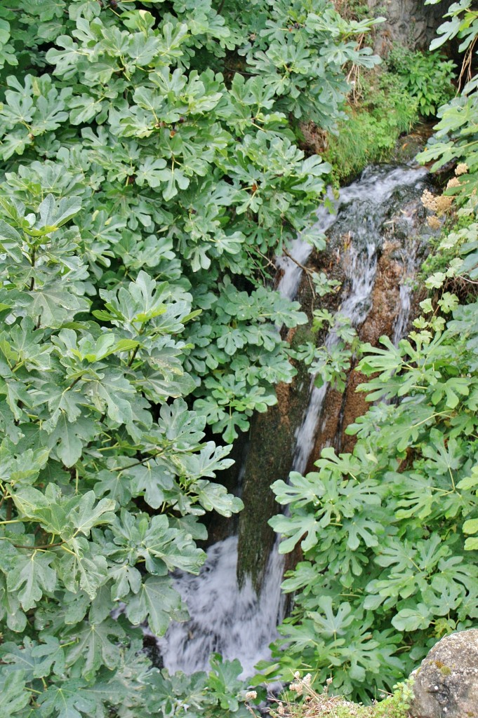 Foto: Rio Cerezuelo - Cazorla (Jaén), España