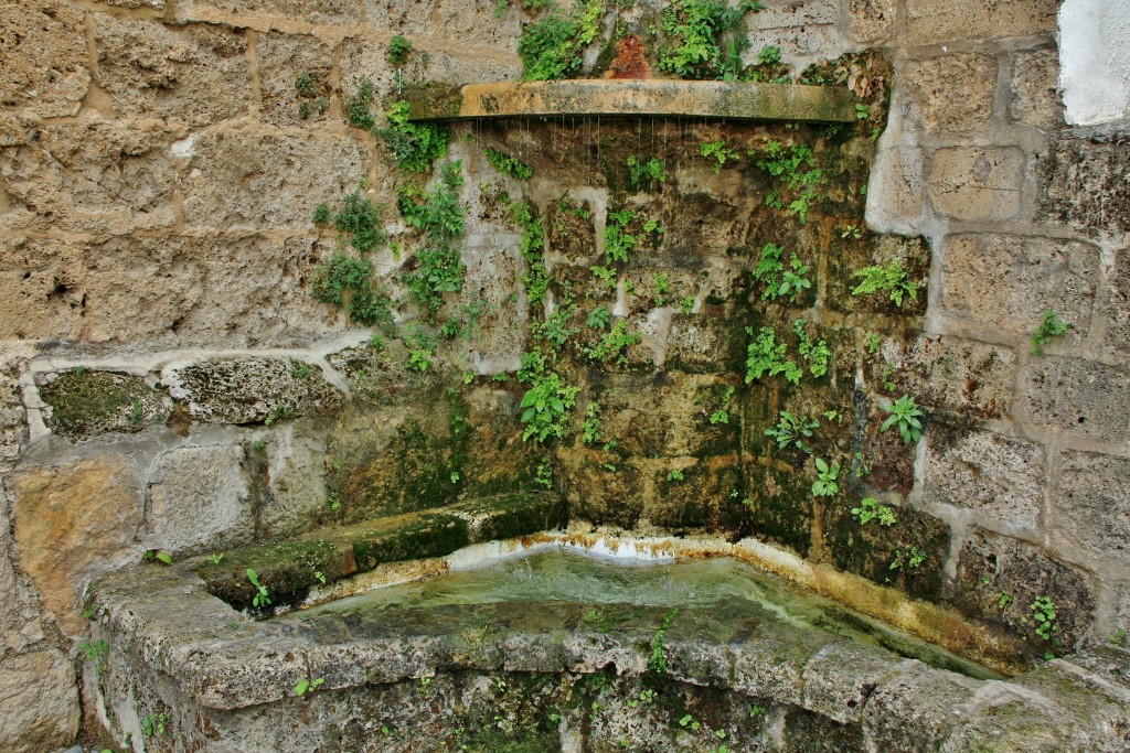 Foto: Fuente - Cazorla (Jaén), España