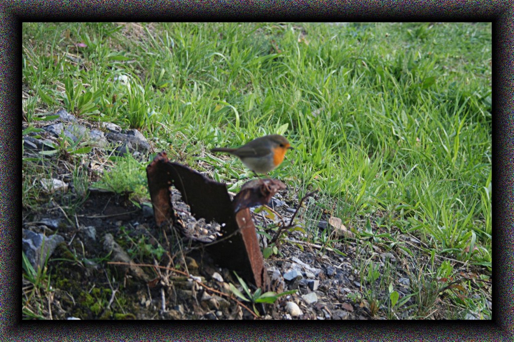 Foto de San Esteban de Pravia (Asturias), España