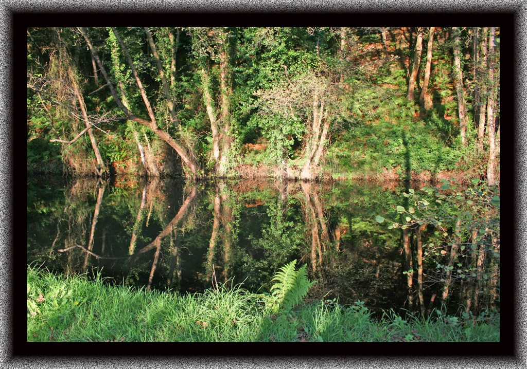 Foto de San Pedro de la Ribera (Asturias), España