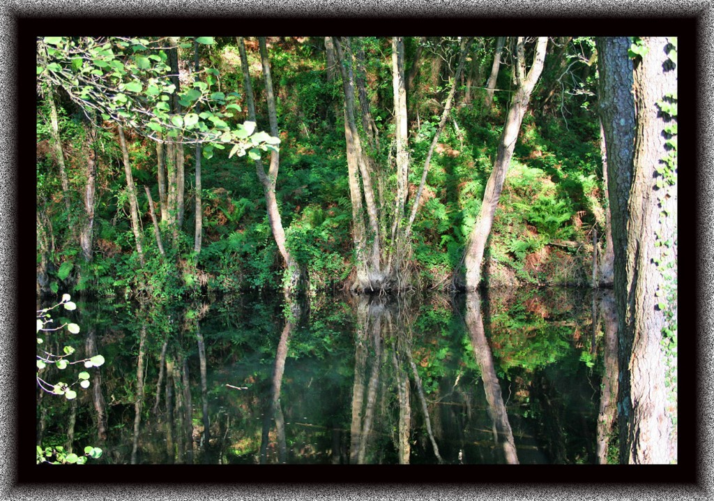 Foto de San Pedro de la Ribera (Asturias), España