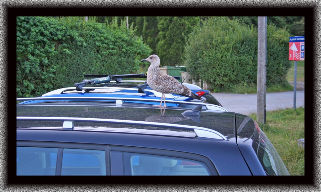 Foto de San Pedro de la Ribera (Asturias), España