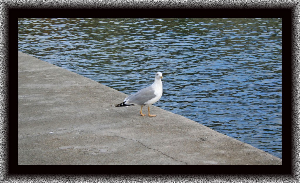 Foto de Tapia de Casariego (Asturias), España