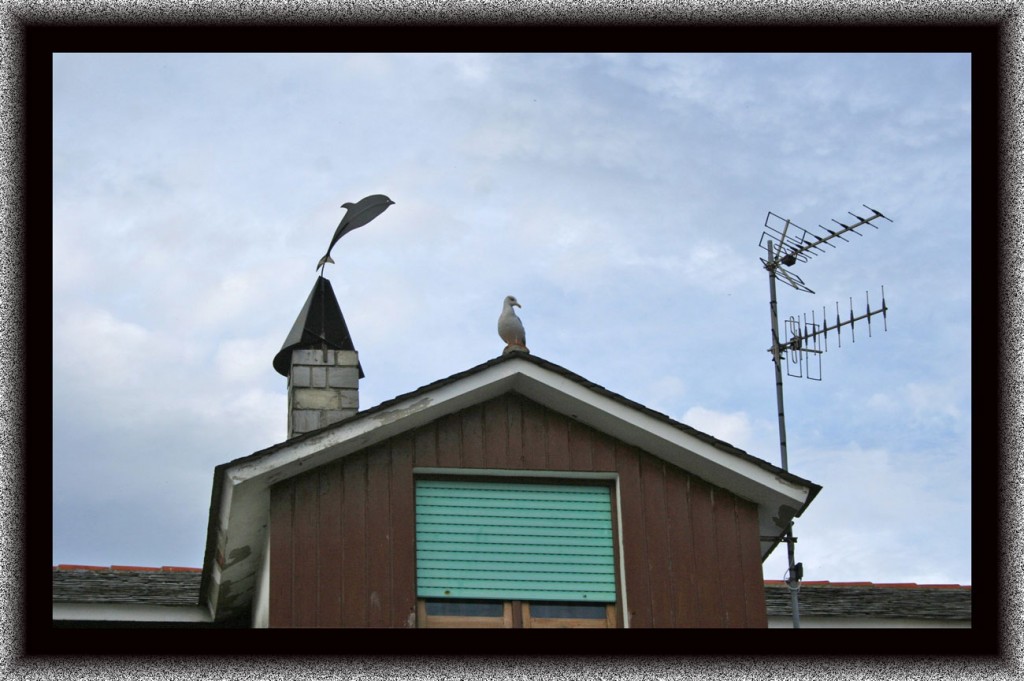 Foto de Tapia de Casariego (Asturias), España