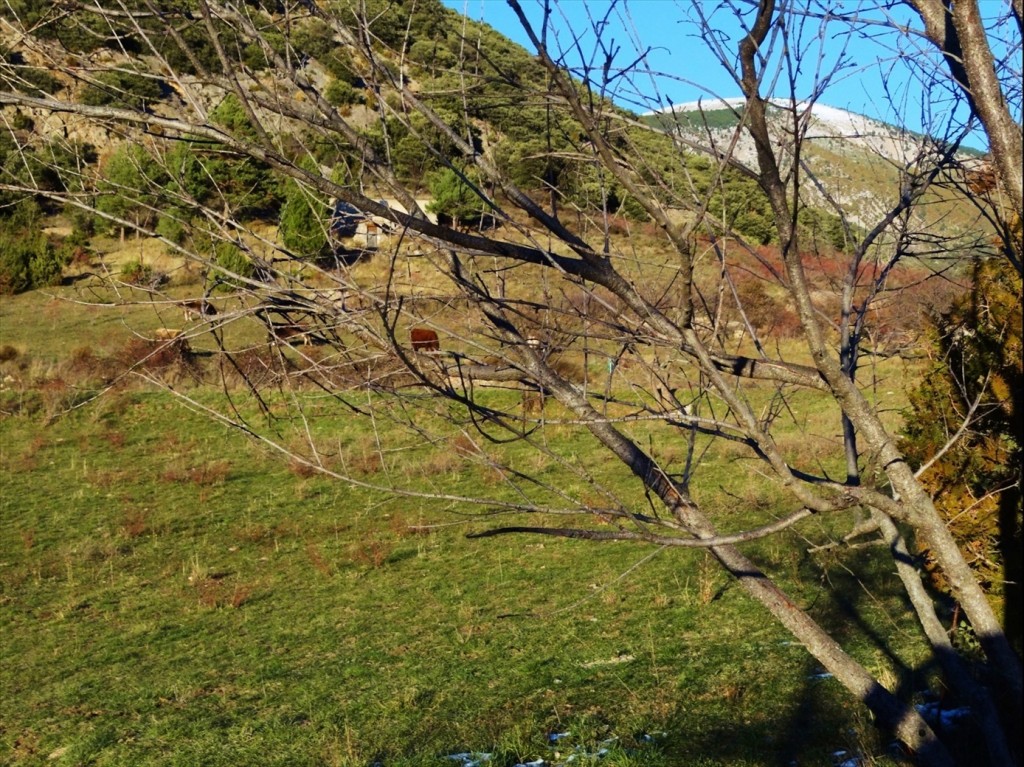 Foto: Fórnols de Cadí - Fórnols (Lleida), España