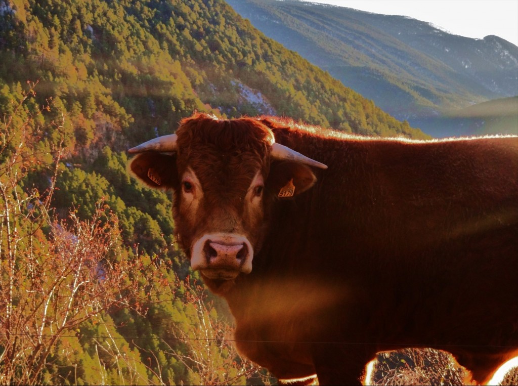 Foto: Fórnols de Cadí - Fórnols (Lleida), España