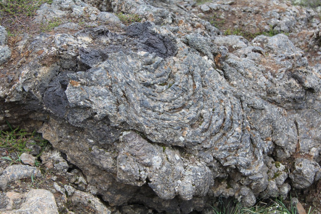 Foto de Mývatn, Islandia