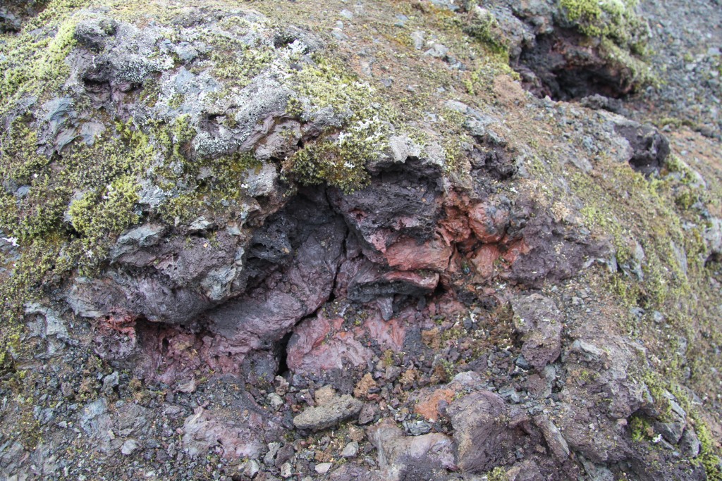 Foto de Mývatn, Islandia