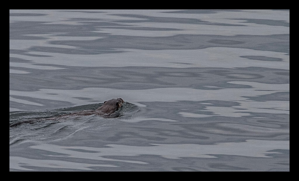 Foto de Scotland, El Reino Unido