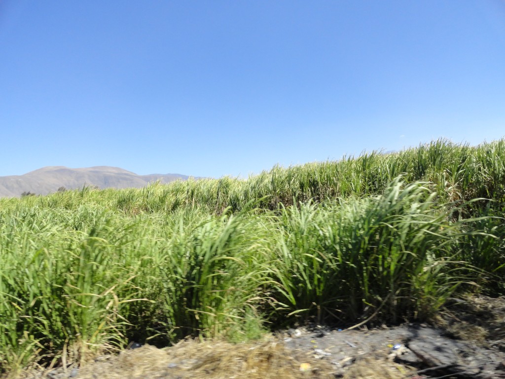 Foto: paisaje - Urcuqui (Imbabura), Ecuador