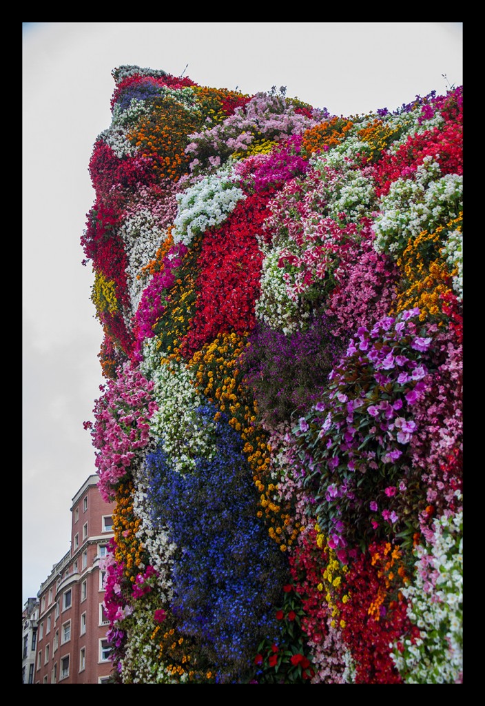 Foto de Bilbao (Vizcaya), España