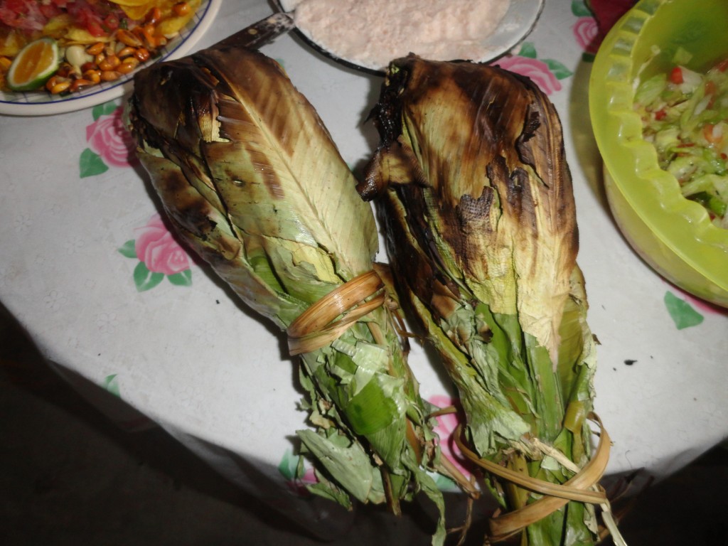 Foto: Maitos - Simòn Bolìvar (Pastaza), Ecuador