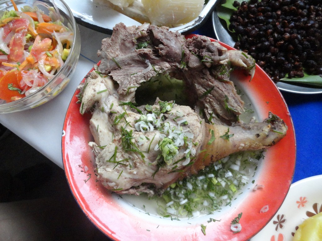 Foto: Armadillo en caldo - Simòn Bolìvar (Pastaza), Ecuador