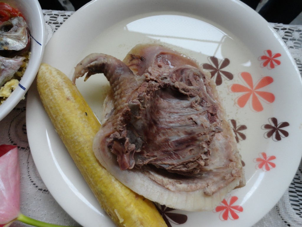 Foto: caldo de armadillo - Simón Bolívar (Pastaza), Ecuador