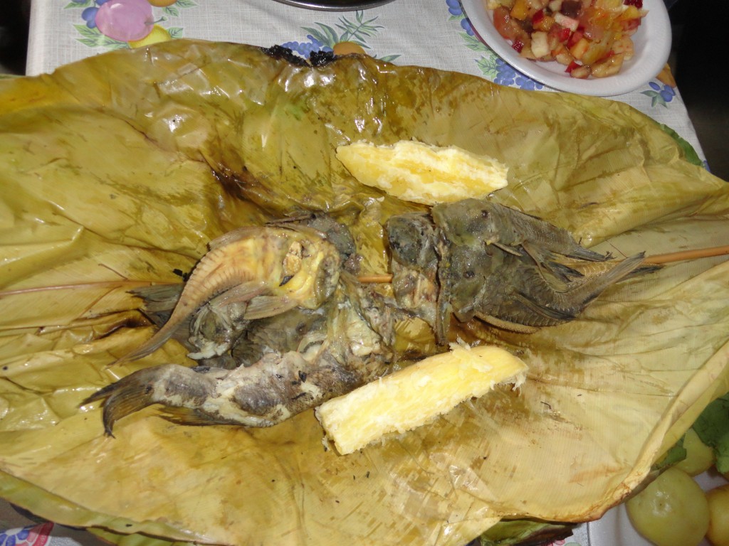 Foto: Maitos - Simón Bolívar (Pastaza), Ecuador