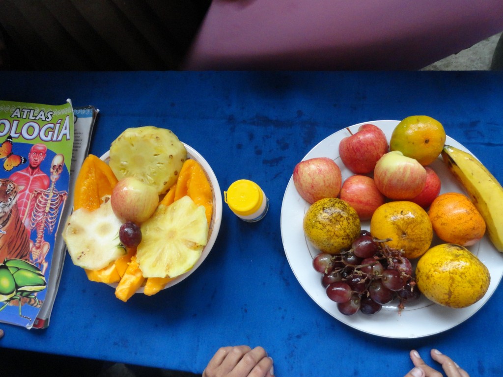 Foto: frutas - Simón Bolívar (Pastaza), Ecuador
