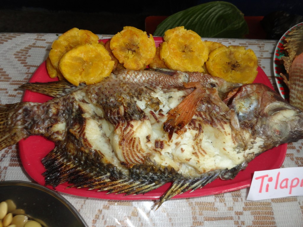 Foto: tilapia frita - Simón Bolívar (Pastaza), Ecuador