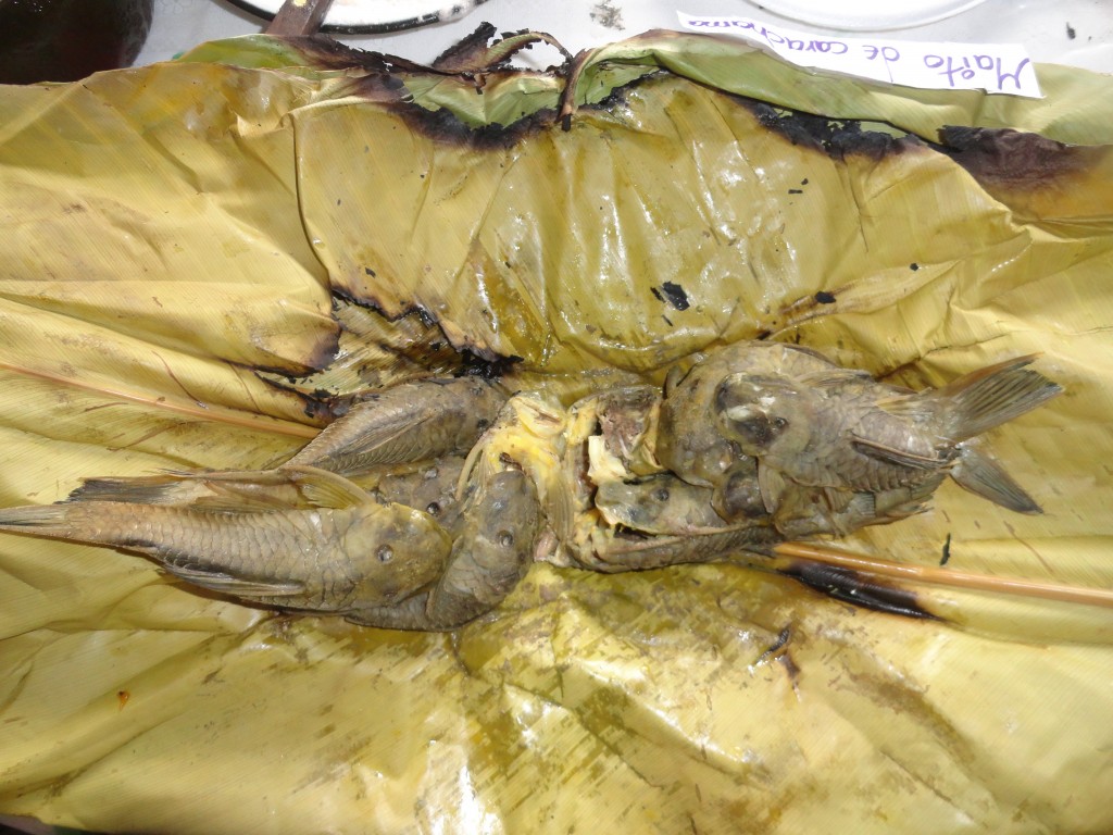 Foto: Maito de carachama - Simón Bolívar (Pastaza), Ecuador